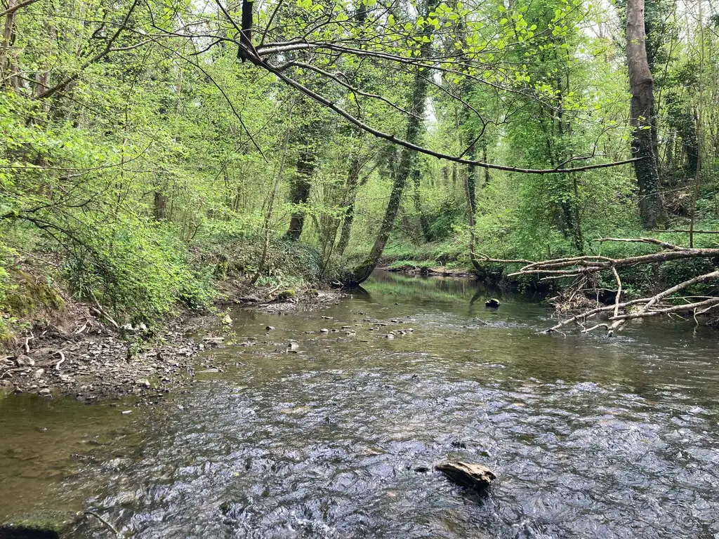 RNR du Bois d'Encade, Bettrechies (Nord)