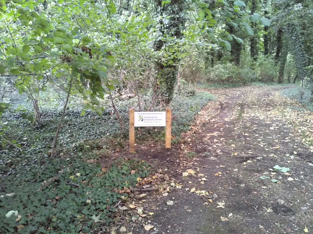 RNR du Marais de Wagnonville, Douai-Flers-en-Escrebieux (Nord)