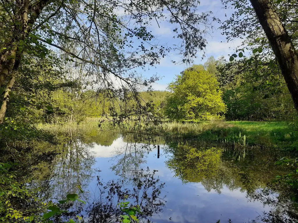 RNR - l'Escaut rivière, Proville (Nord)