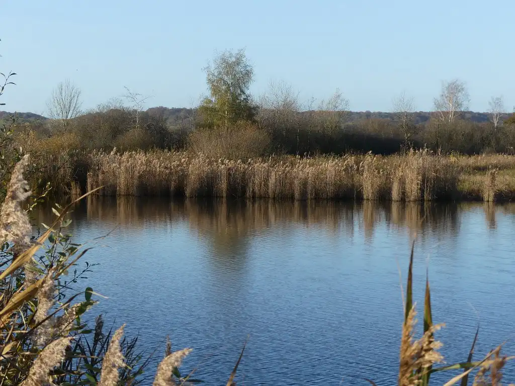 Photographie de Sacy -Le-Grand, Marais dans les Hauts-de-France. Marais Communaux à Sacy-le-Grand dans l'Oise.