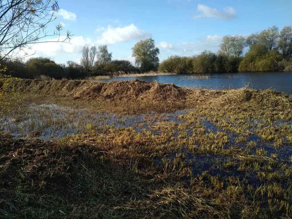 Site de Gestion des Sédiments VNF n17, Cappelle-Brouck (Nord)