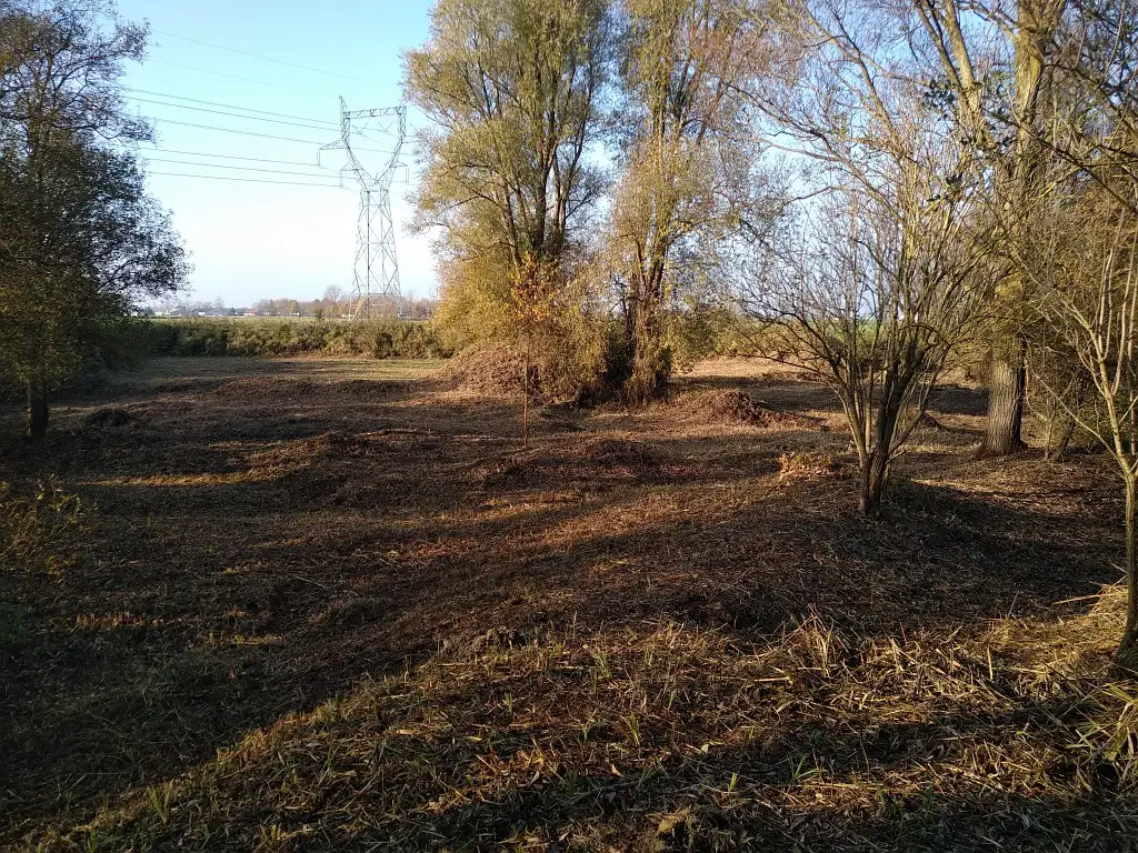 Site de Gestion des Sédiments VNF n°13 de Cappelle-Brouck (Nord)