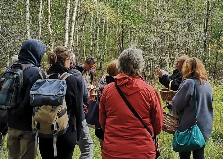 Photographie prise lors d'une Sortie nature mycologique sur le site de la réserve naturelle nationale (RNN) Les Landes de Versigny (Aisne)