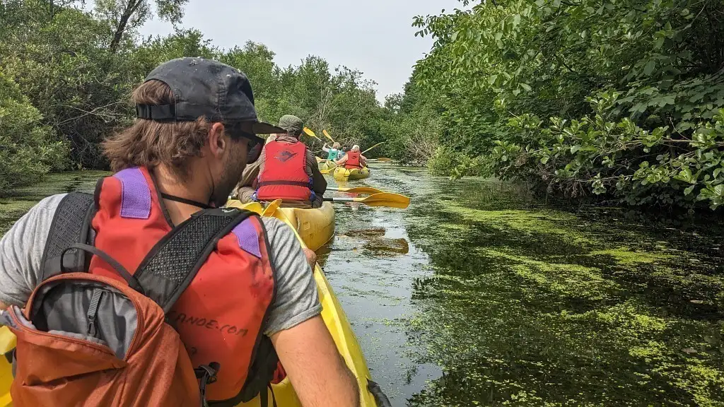 Sortie nature canoë kayak sur l'Etang de Frise (Somme)
