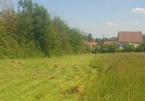 Source de la Coqueline, Bailleul-les-Pernes (Pas-de-Calais)