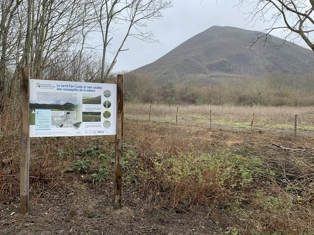 Terril Fort Louis et son cavalier, Annay-Harnes (Pas-de-Calais)