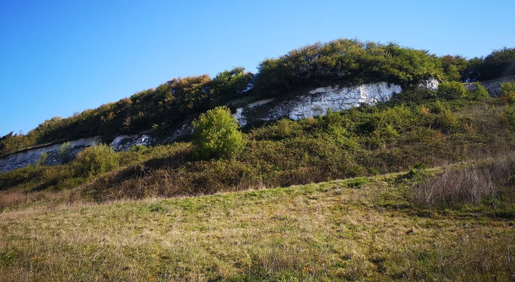 Coteau calcaire et falaise de craie