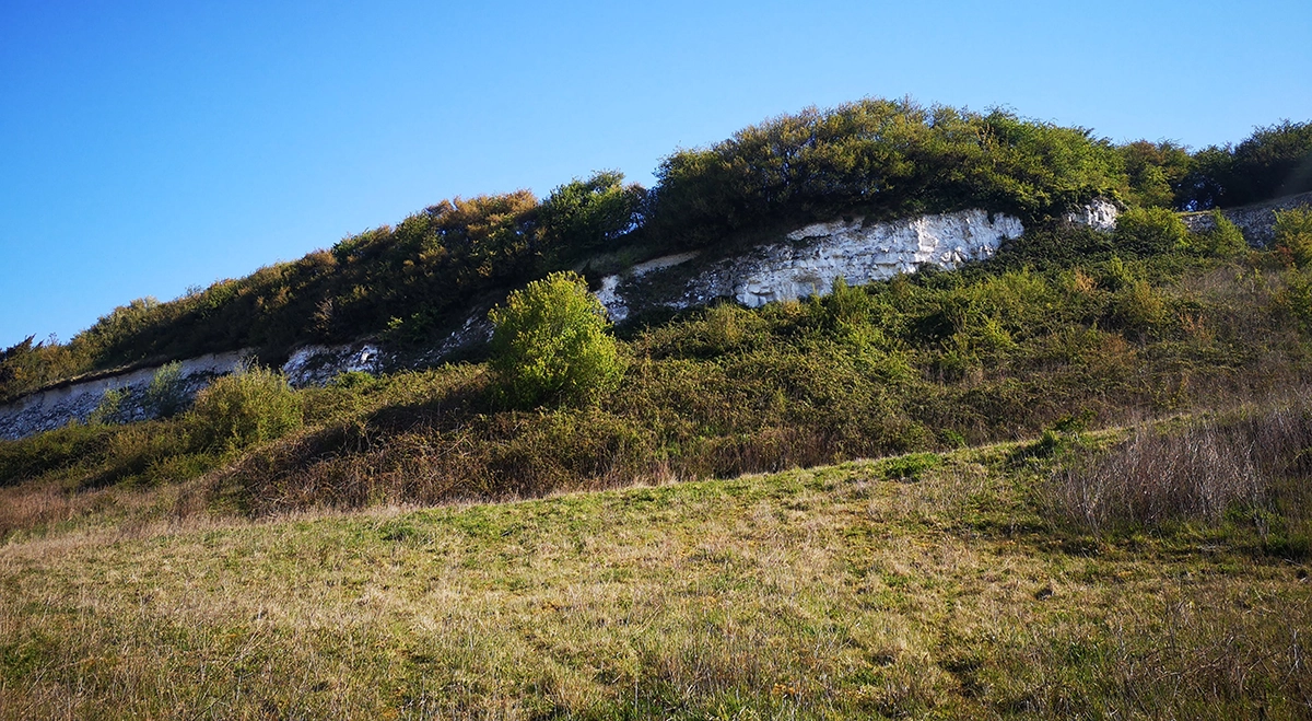 Coteau calcaire et falaise de craie