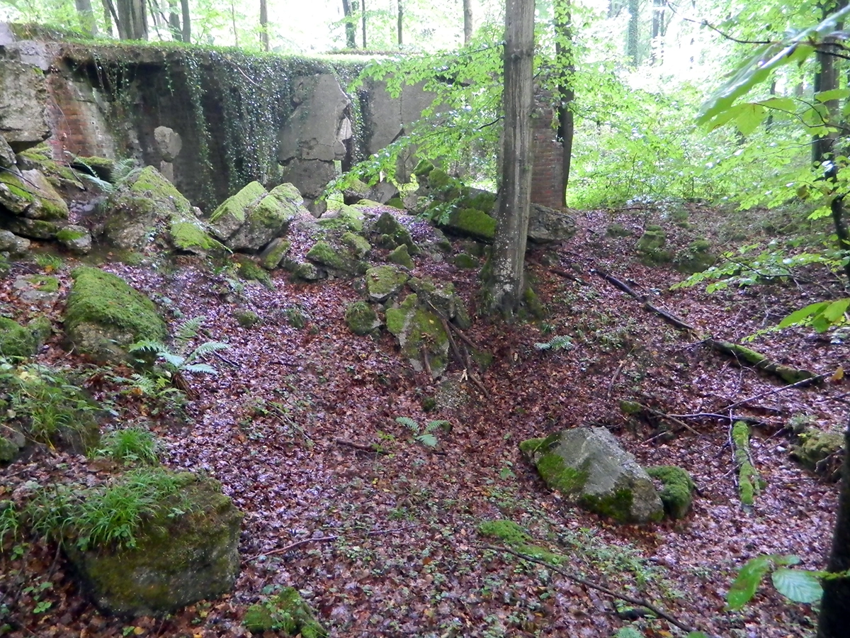 Boisement et ruines des Cavités de la Loge