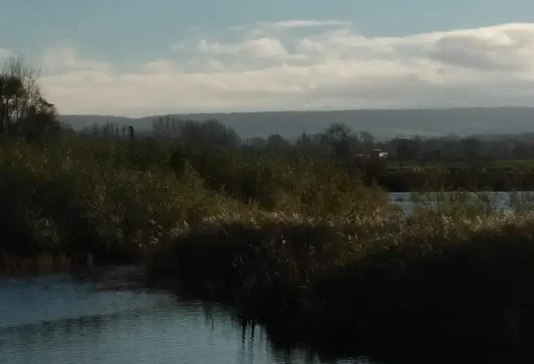 Photo du marais d'Ardres (Pas-de-Calais)