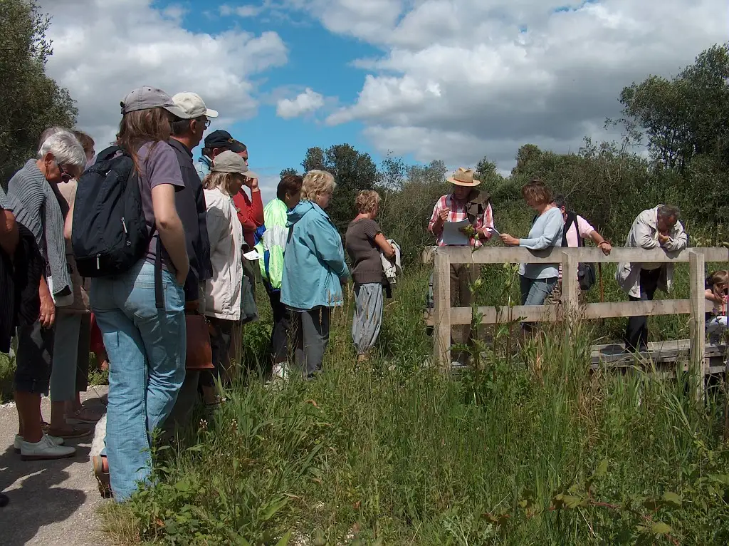 Pphotographie d'une animation balade contée en picard par Ch'Mariel -sur le site de la réserve naturelle nationale (RNN) de l'Etang Saint-Ladre à Boves (Somme)