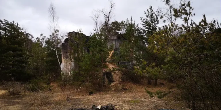 Photographie du site exceptionnel des carrières de Saint-Vaast-Lès-Mello dans l'Oise. Milieu naturel herbacé avec pelouse calcicole.