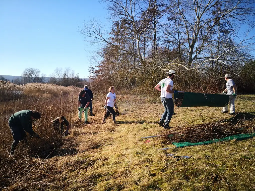 Photographie d'une animation Chantier nature Grand public sur le site du Trou Boully au Plessis-Brion (Oise)