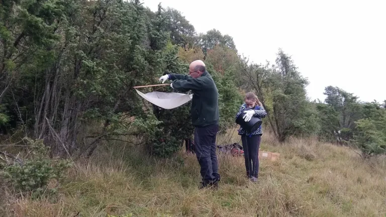 Photographie d'une animation chantier nature aux Larris de Villers à Bouchon (Somme)