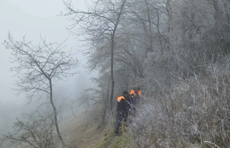 Photographie d'une animation chantier nature, organisée par le CEN Hauts-de-France sur le site Notre-Dame de Vaux à Eclusier-Vaux dans la Somme (Hauts-de-France). Photo d'un groupe de bénévoles effectuant des travaux de gestion dans la montagne de Vaux
