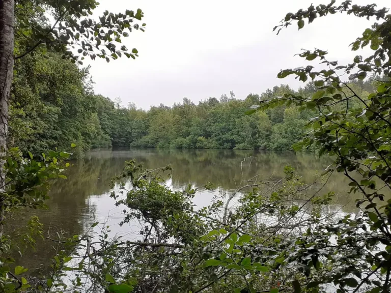 Photographie de l'Etang de la Carnaille, Ohain (Nord)