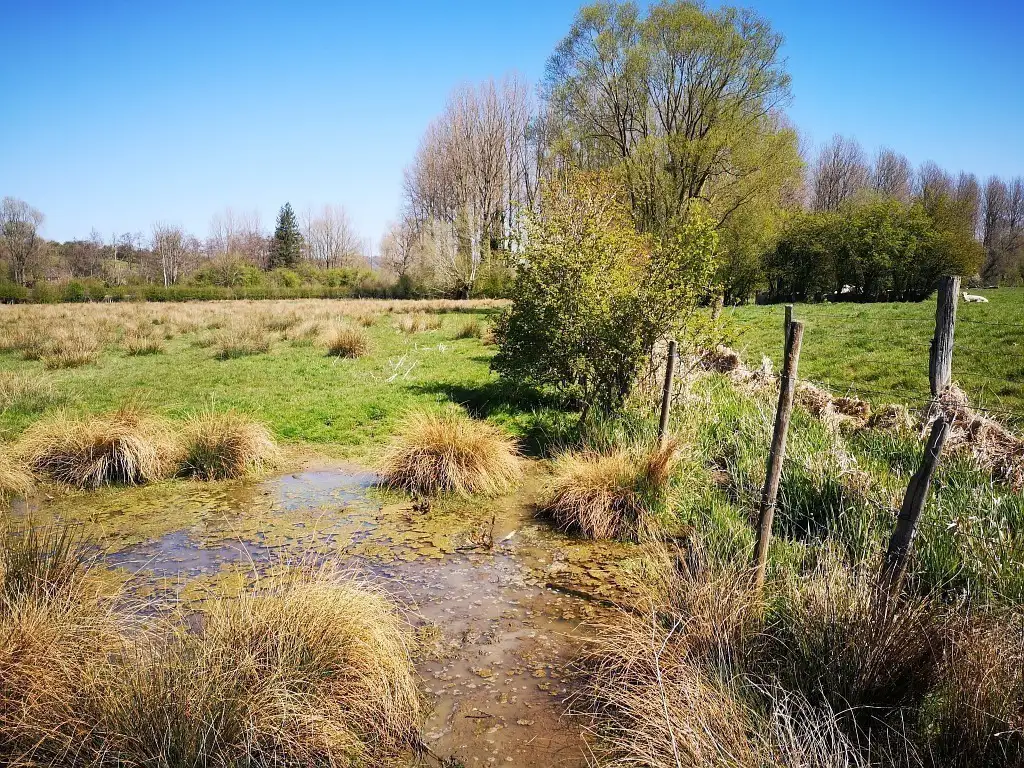 Photographie du Grand marais de Blangy-sur-Ternoise (Pas-de-Calais). Milieu naturel humide.