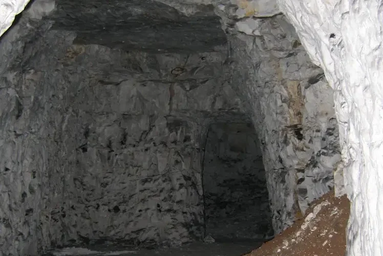 Photographie du site de la Mûche (cavité souterraine) d'Hiermont (Somme). Un gîte parfait pour les chauves-souris