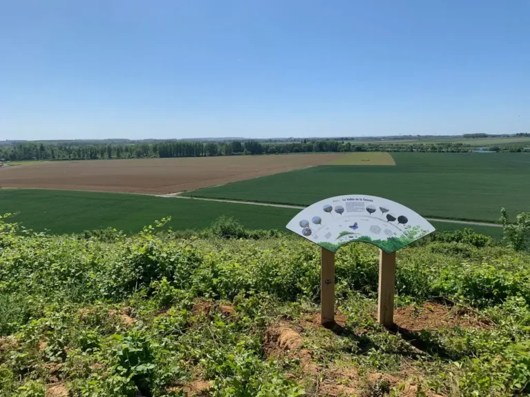 Photographie du site de La Sablière d'Hamel (Nord) et de sa table de lecture