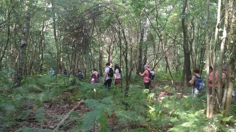Photographie d'une animation grand public sortie nature par les Conservateurs bénévoles au Bois des Coutumes à Allonne dans l'Oise