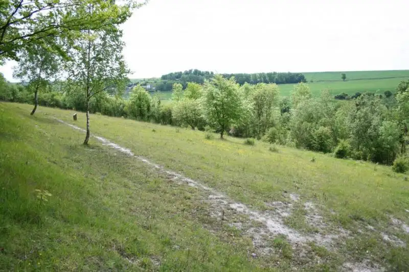 Le Larris des Terres Blanches