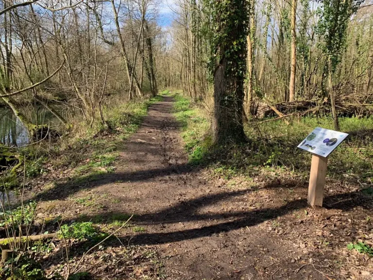 Photographie du sentier du site du Marais de Maroeuil dans le Pas-de-Calais.