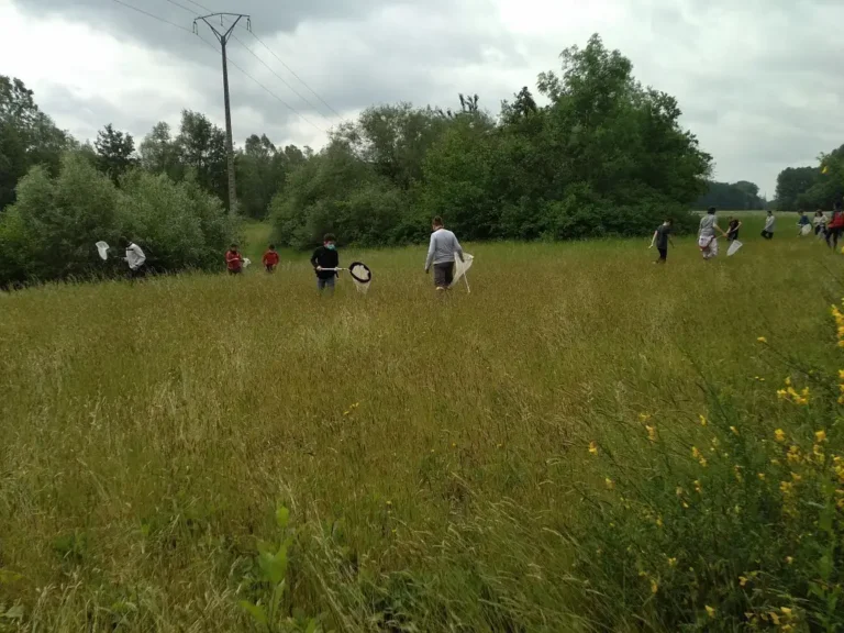 Photographie animation Sortie nature sur le site du Trou Boully au Plessis-Brion (Oise)
