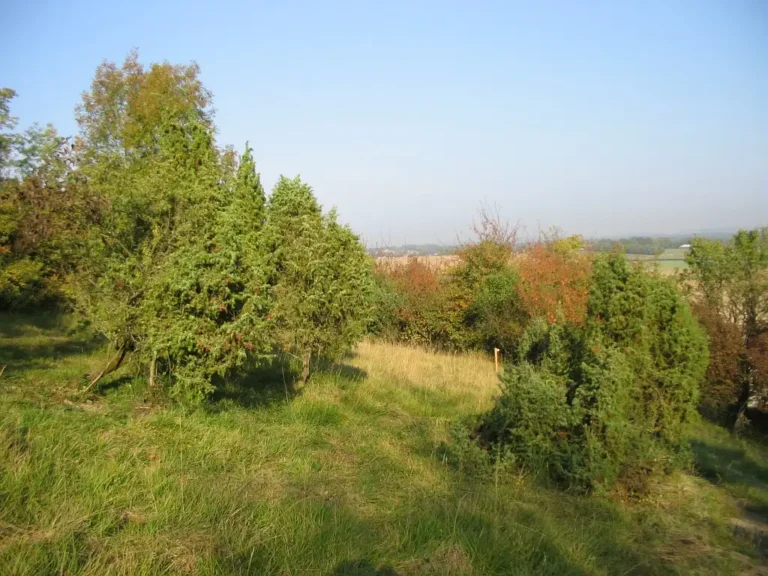 Photographie du paysage des Larris d'Auteuil dans l'Oise.