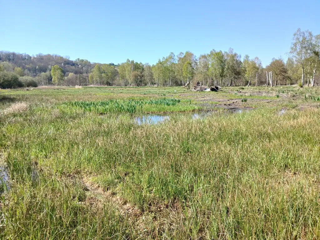 Les Marais communaux de Mareuil-Caubert