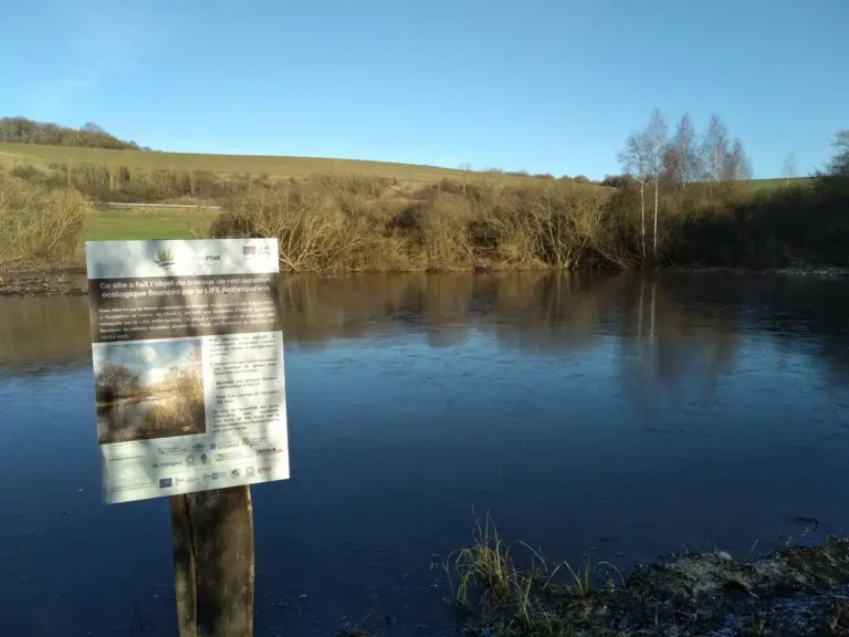 Photographie du Marais de Génonville à Moreuil (Somme) avec en premier plan un panneau signalétique expliquant le chantier du site en rapport avec le projet Life Anthropofens (en faveur des tourbières alcalines des Hauts-de-France).