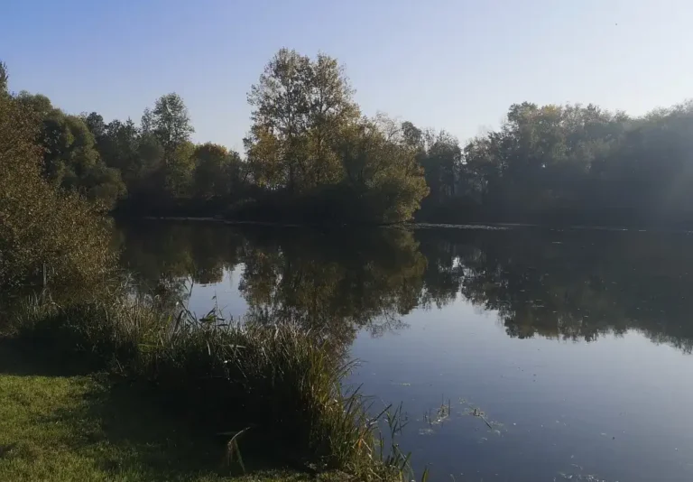 Photographie du Marais de Rumaucourt (Pas-de-Calais)