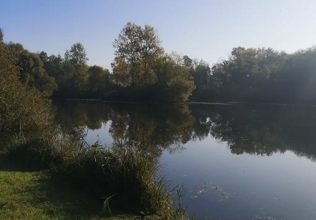 Marais de Rumaucourt