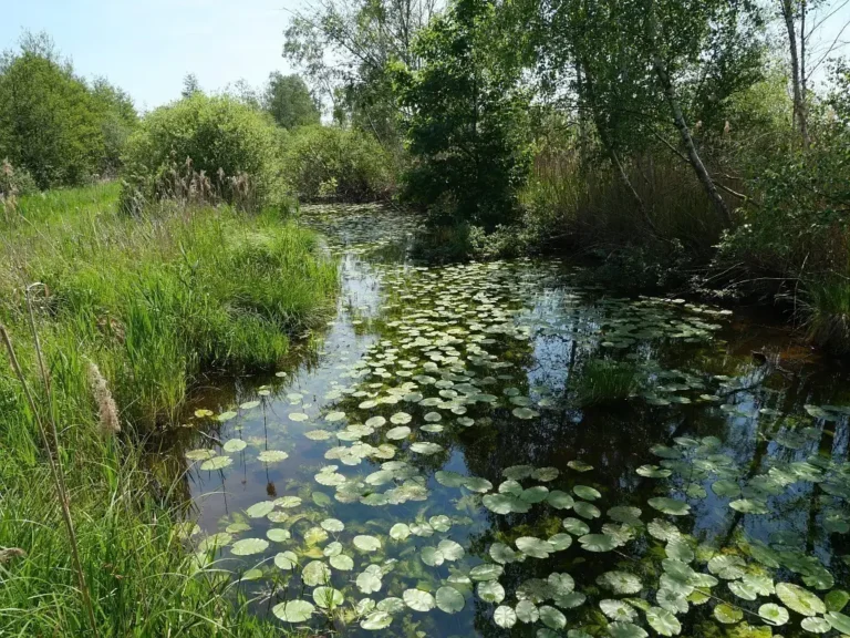 Photographie des propriétés départementales du Marais de Sacy, dans l'Oise