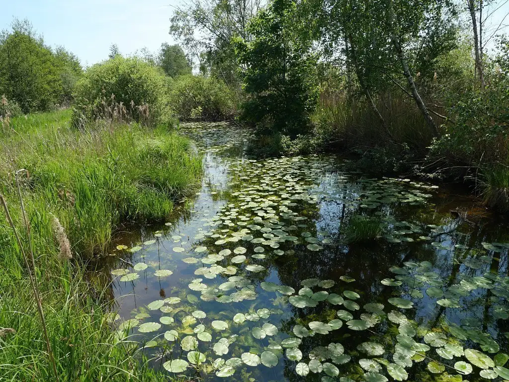 Photographie des propriétés départementales du Marais de Sacy, dans l'Oise