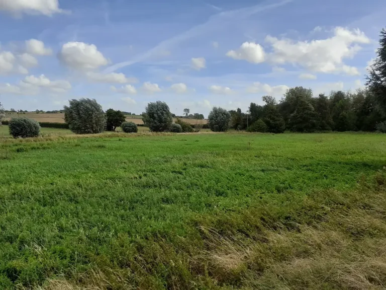 Paysage Marais de Solesmes (Nord)