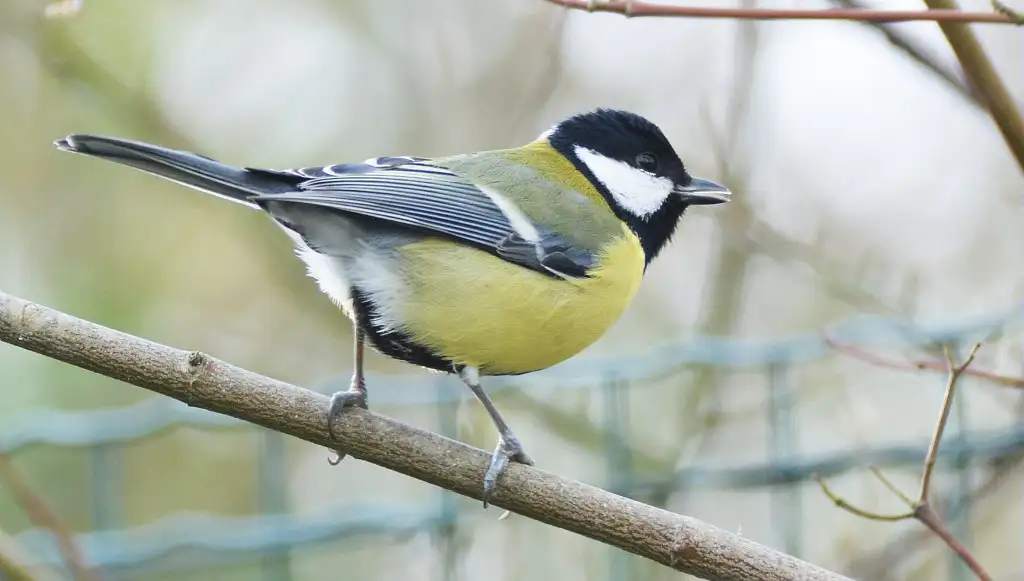 RNR de la Forteresse de Mimoyecques et Coteaux