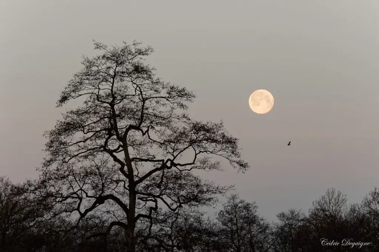 Photographie d'un paysage crépusculaire