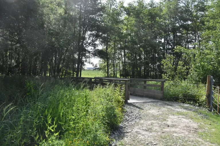 Photographie de la Prairie d'Hurionville à Lillers (Pas-de-Calais)