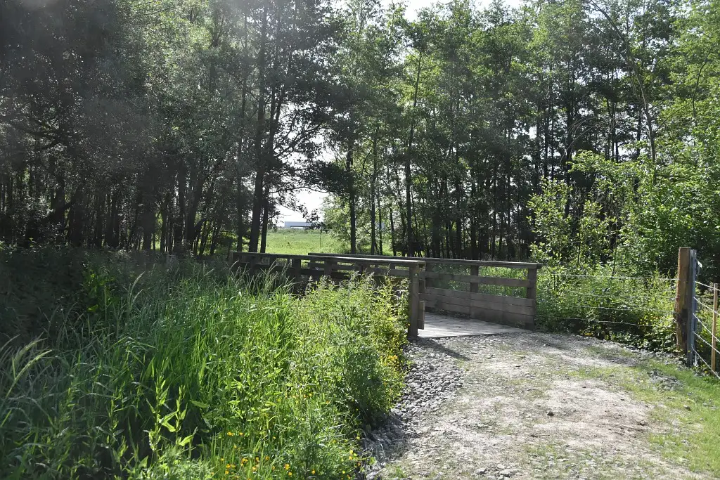 Photographie de la Prairie d'Hurionville à Lillers (Pas-de-Calais)