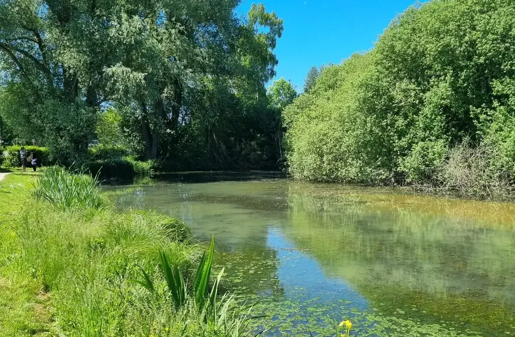 RNN – L&rsquo;Etang Saint-Ladre