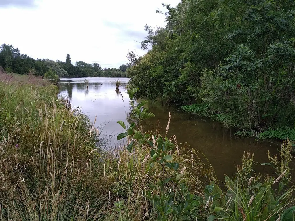 RNR des Marais de Cambrin, Annequin, Cuinchy et Festubert