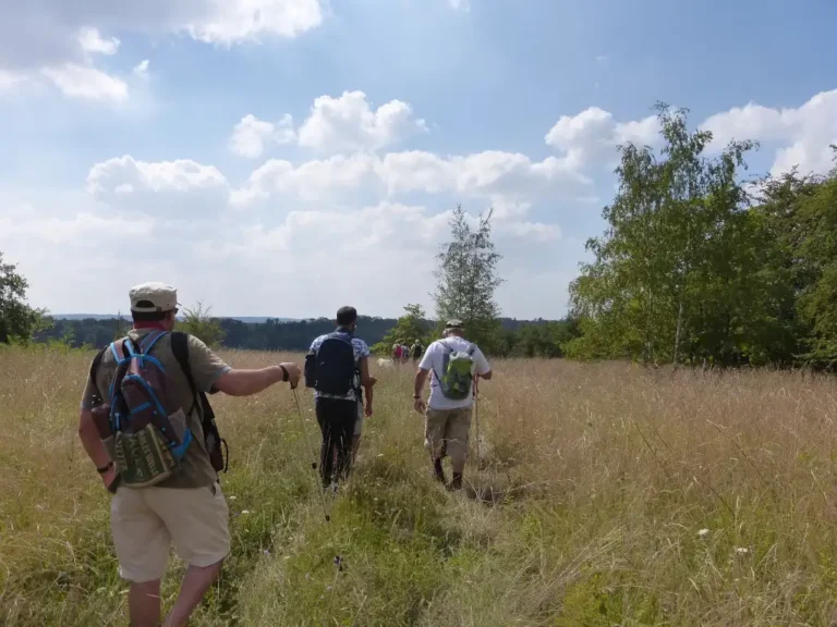 Photographie d'une randonnée nature à Béthisy-Saint-Martin dans l'Oise