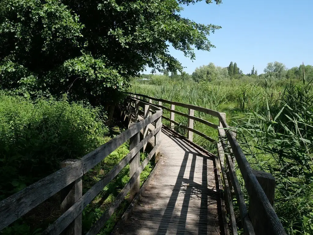 Photographie du sentier de la réserve naturelle nationale (RNN) de l'Etang Saint-Ladre - Boves (Somme)