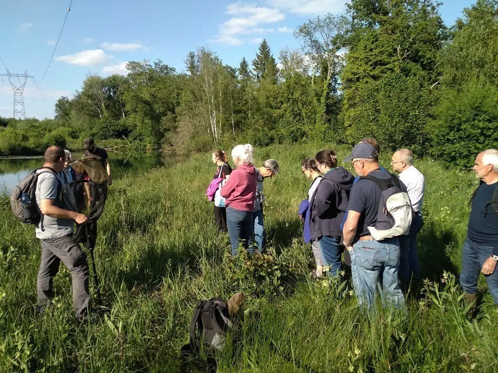 Marais communaux de Breuil-le-Sec