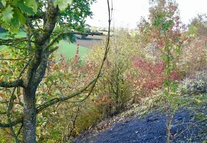 Photographie du Terril de Burbure (Pas-de-Calais)