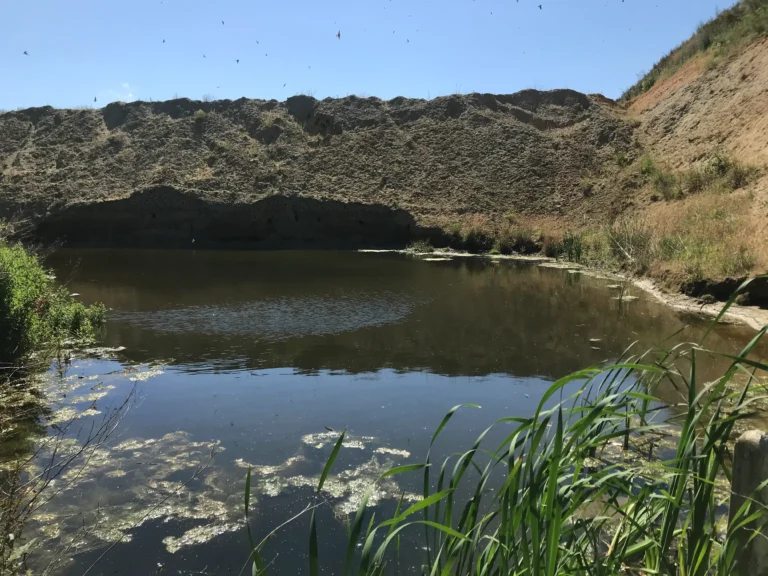 Vitry-en-Artois (Pas-de-Calais)