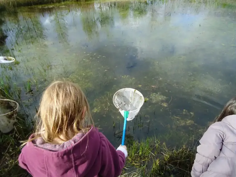 Animation nature mare