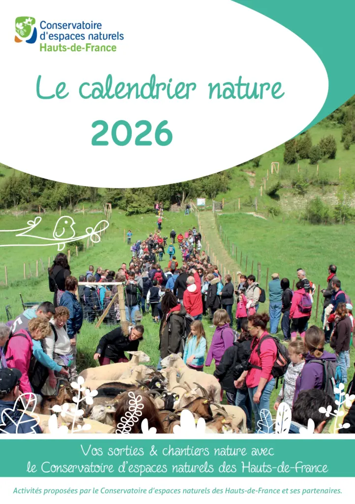 Calendrier des activités nature 2026 du Conservatoire d'espaces naturels des hauts-de-France