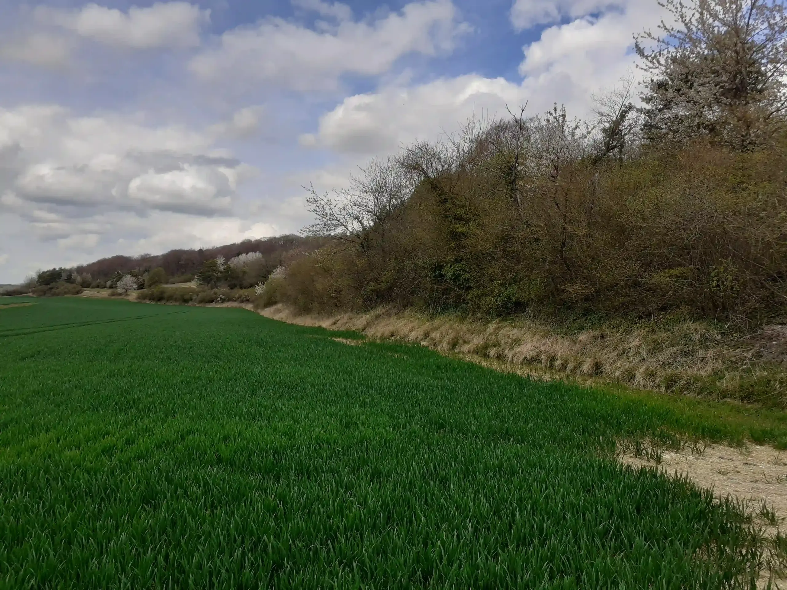 Fontaine-Saint-Lucien