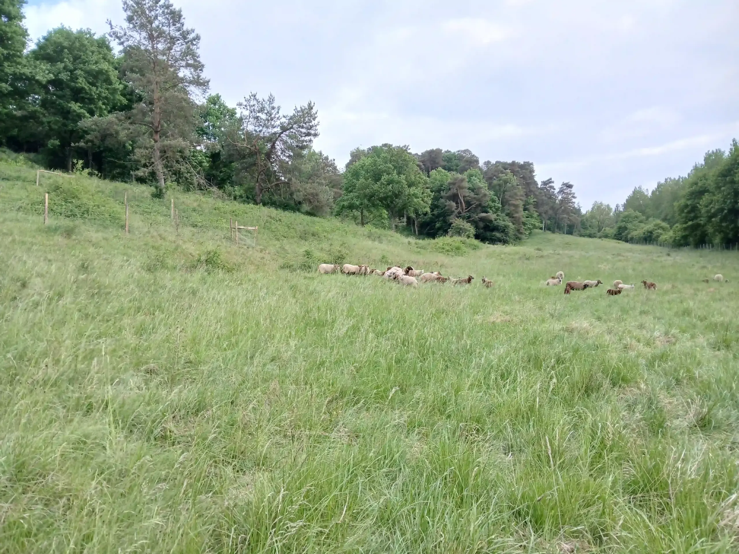 Grange au Mont, Bonneuil-en-Valois (Oise)